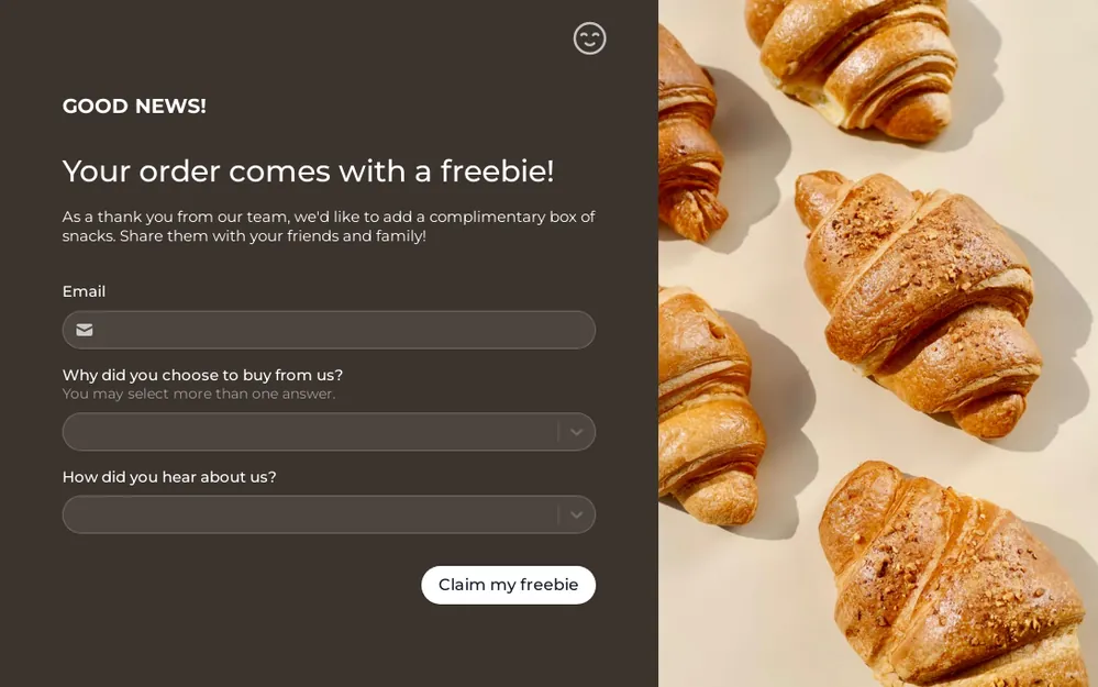 Claim Your Freebie Form Template template preview