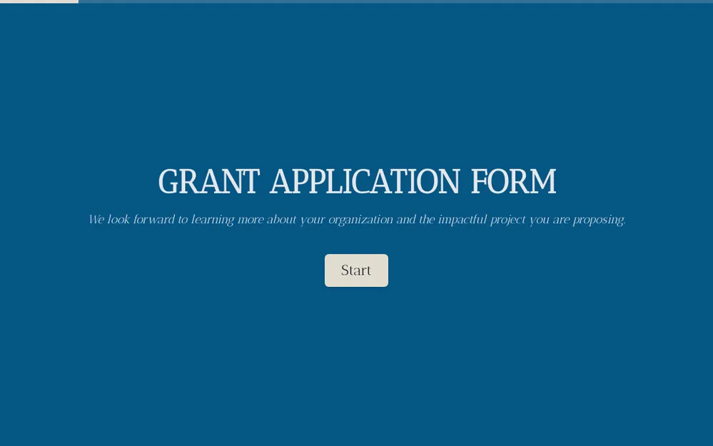 Grant Application Form Template template preview