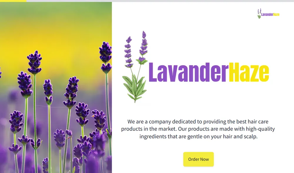 Hair Products Order Form Template template preview