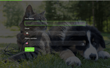 Owner Details form page preview