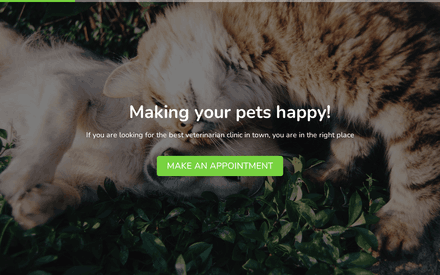 Appointment Form form page preview