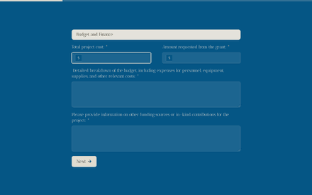 Budget form page preview