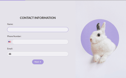 Contact form page preview