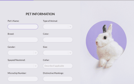 Pet form page preview