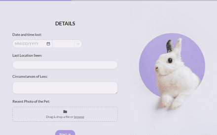 Details form page preview