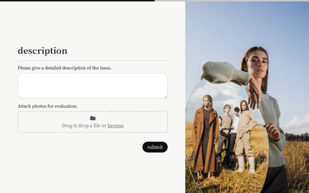 For investigation form page preview
