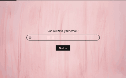 Email form page preview