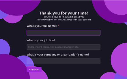 User details form page preview
