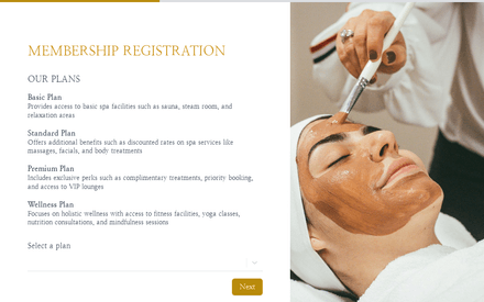Plan form page preview