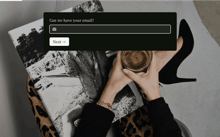 Email form page preview