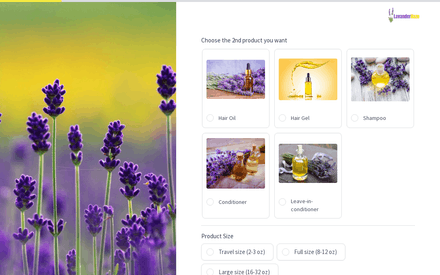 Order 2 form page preview