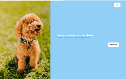 Review form page preview