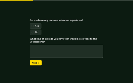 Volunteer experience form page preview