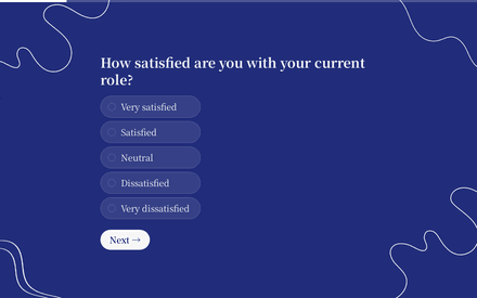 Satisfaction form page preview